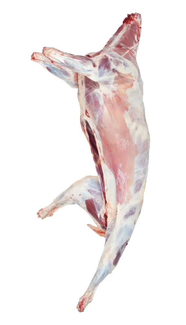 Whole Baby Goat (10 kg)